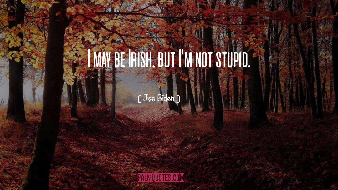 Irish Rebellion quotes by Joe Biden