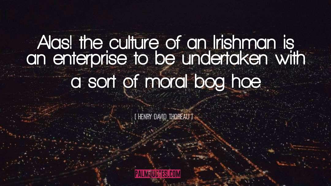 Irishmen Philosophy quotes by Henry David Thoreau