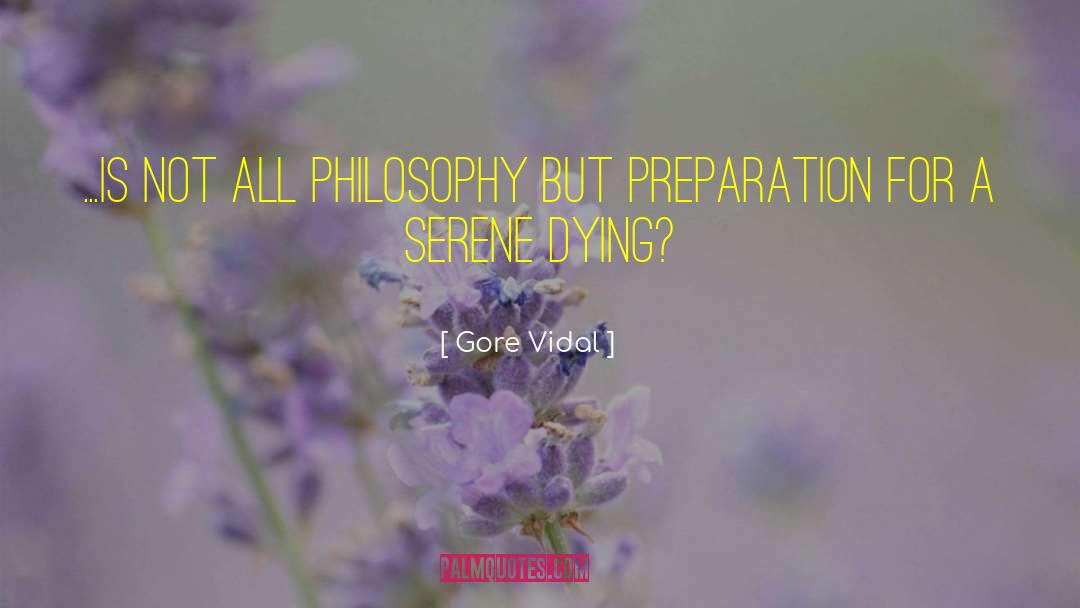 Irishmen Philosophy quotes by Gore Vidal