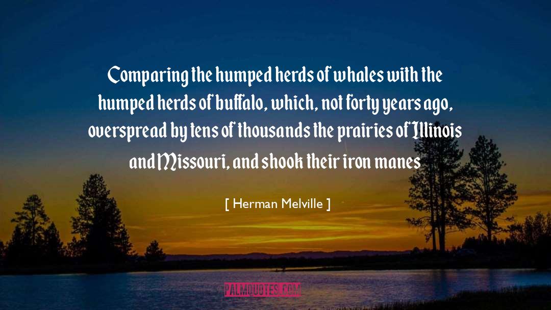Iron Druid Chronicles quotes by Herman Melville