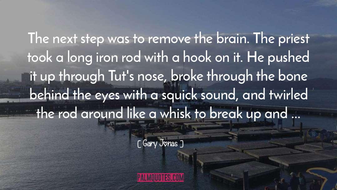 Iron Hydroxide quotes by Gary Jonas