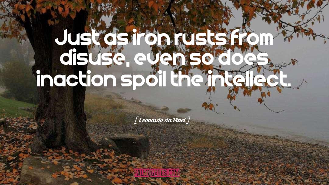Iron Rust quotes by Leonardo Da Vinci