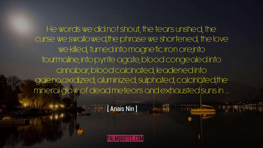 Iron Rust quotes by Anais Nin