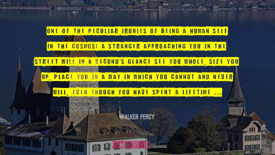 Ironies quotes by Walker Percy