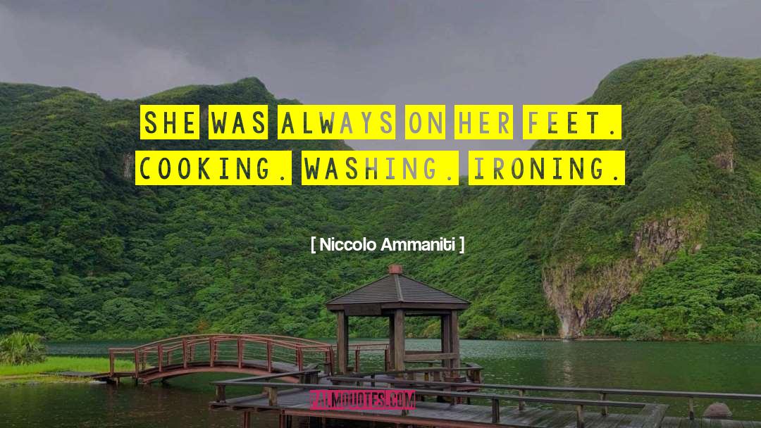 Ironing quotes by Niccolo Ammaniti