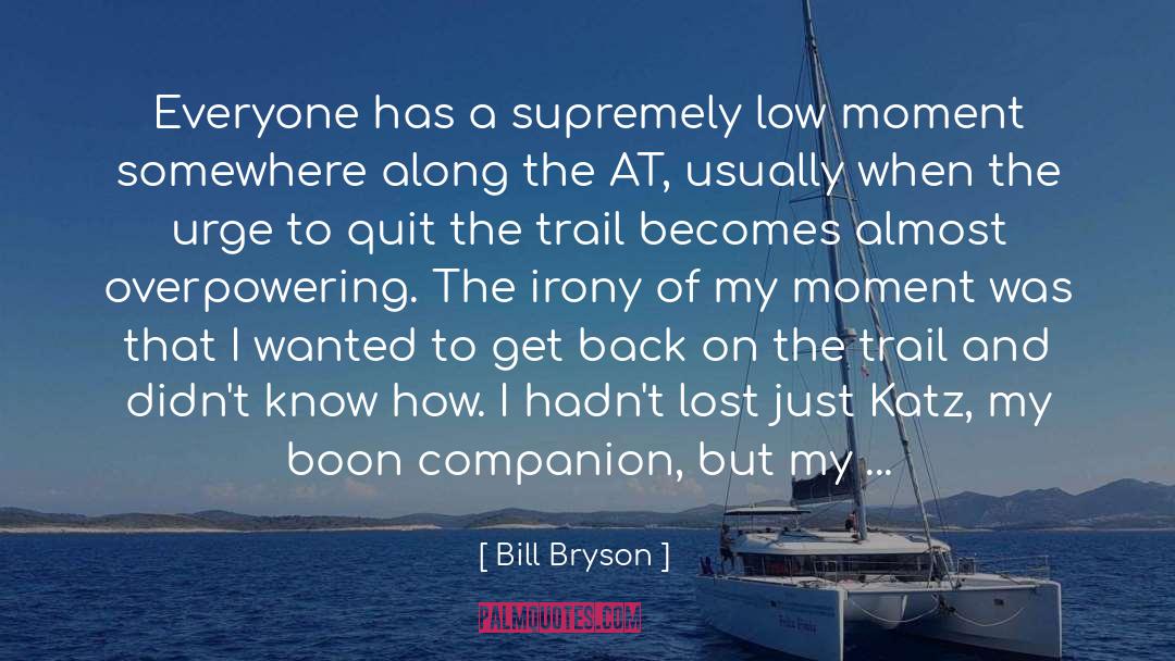 Irony quotes by Bill Bryson