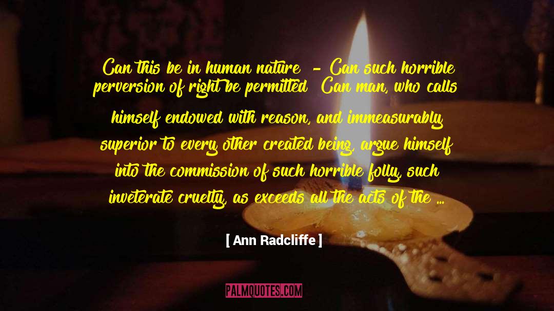 Irrational Beliefs quotes by Ann Radcliffe