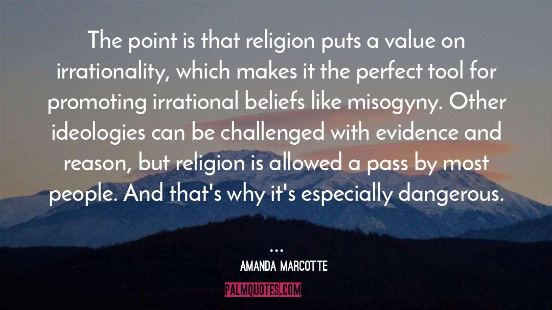 Irrational Beliefs quotes by Amanda Marcotte