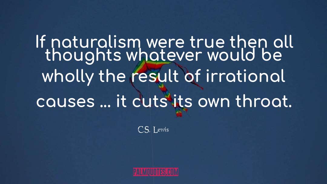 Irrational Numbers quotes by C.S. Lewis