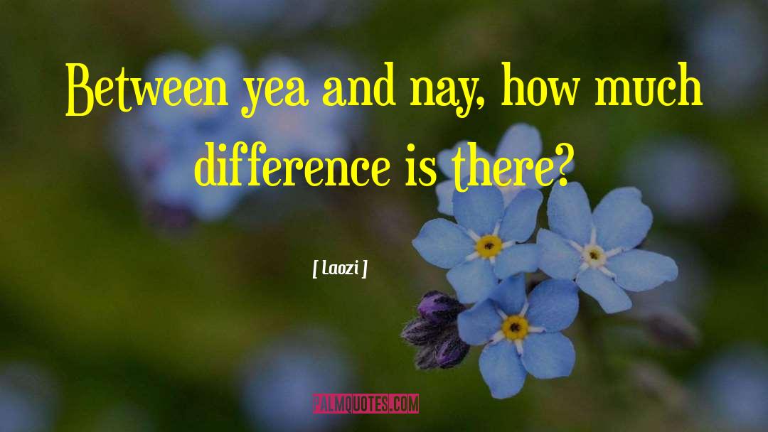 Irreconcilable Differences quotes by Laozi