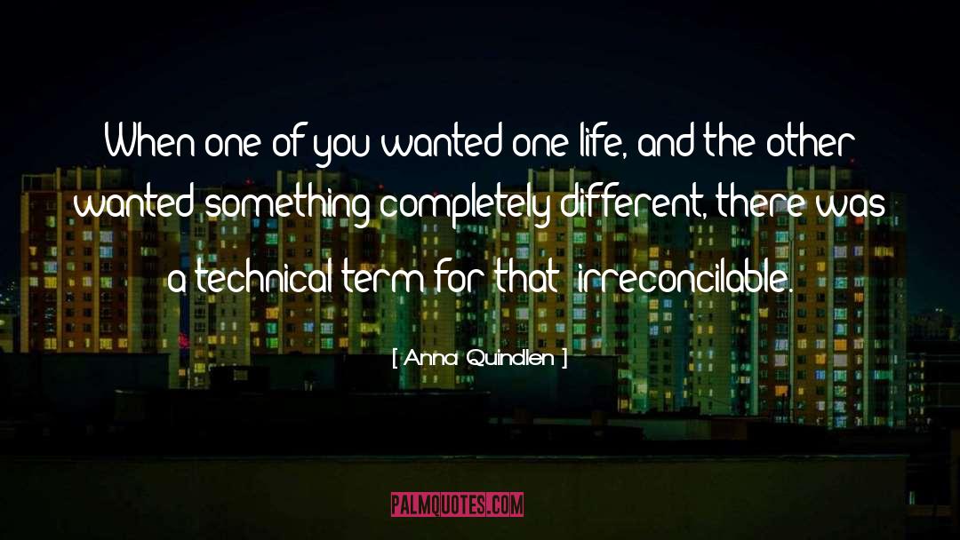 Irreconcilable quotes by Anna Quindlen