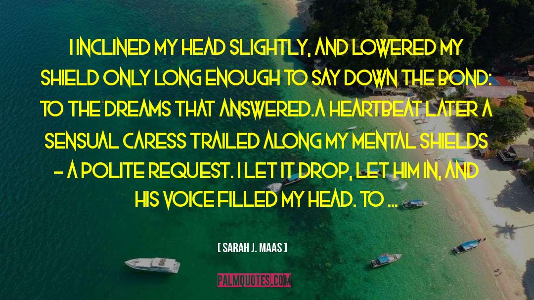 Irregular Heartbeat quotes by Sarah J. Maas