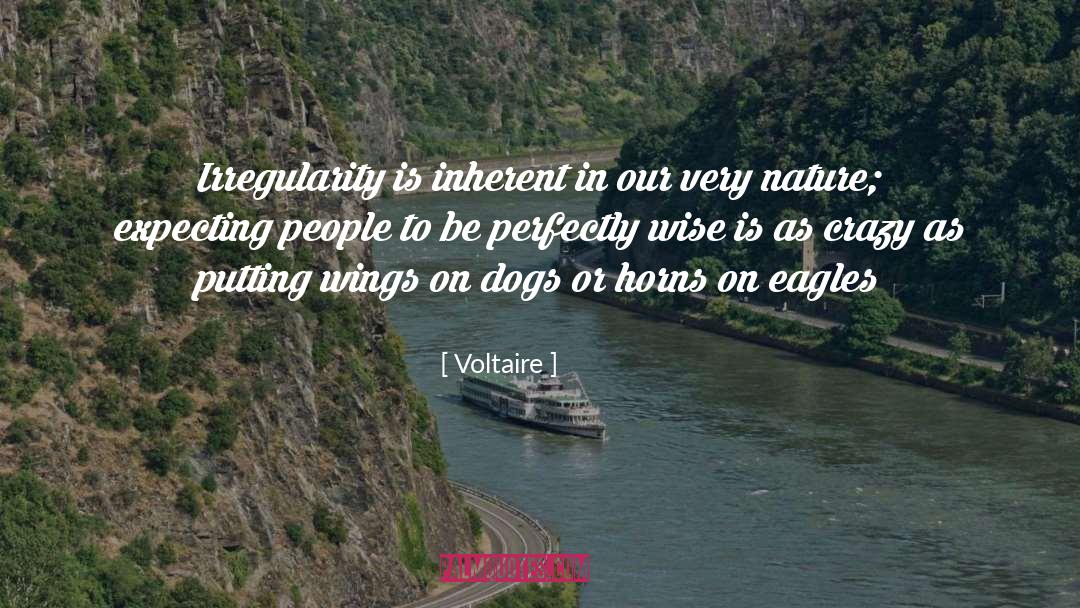 Irregularity quotes by Voltaire