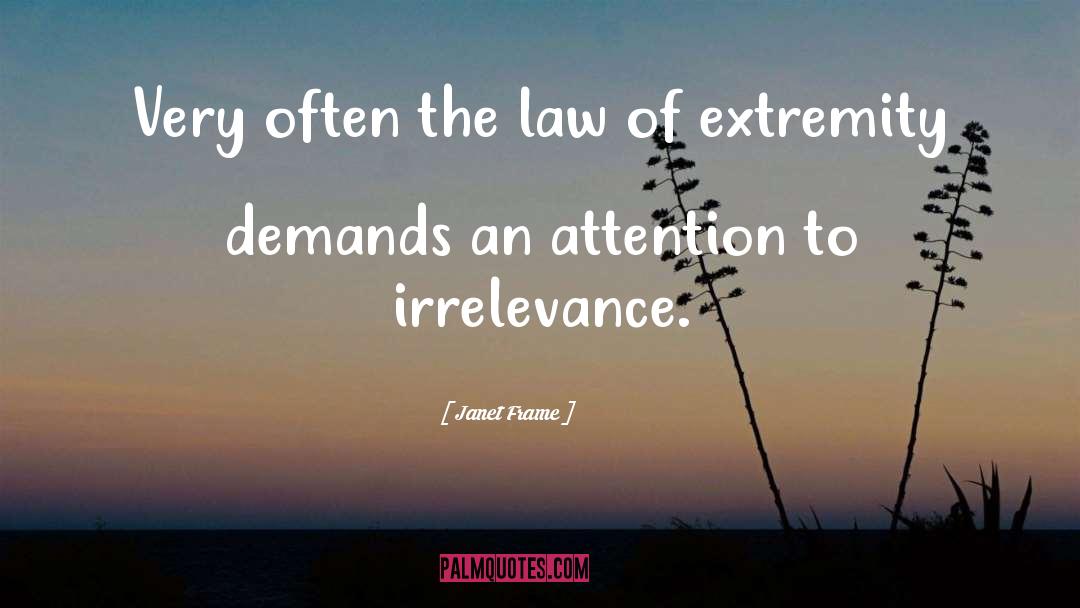 Irrelevance quotes by Janet Frame