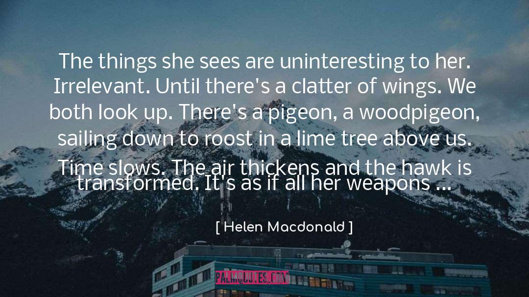 Irrelevant quotes by Helen Macdonald