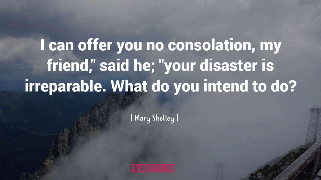 Irreparable quotes by Mary Shelley