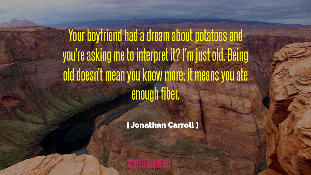 Irreplaceable Boyfriend quotes by Jonathan Carroll
