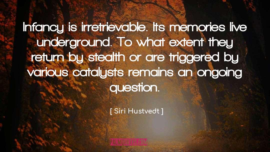 Irretrievable Breakdown quotes by Siri Hustvedt