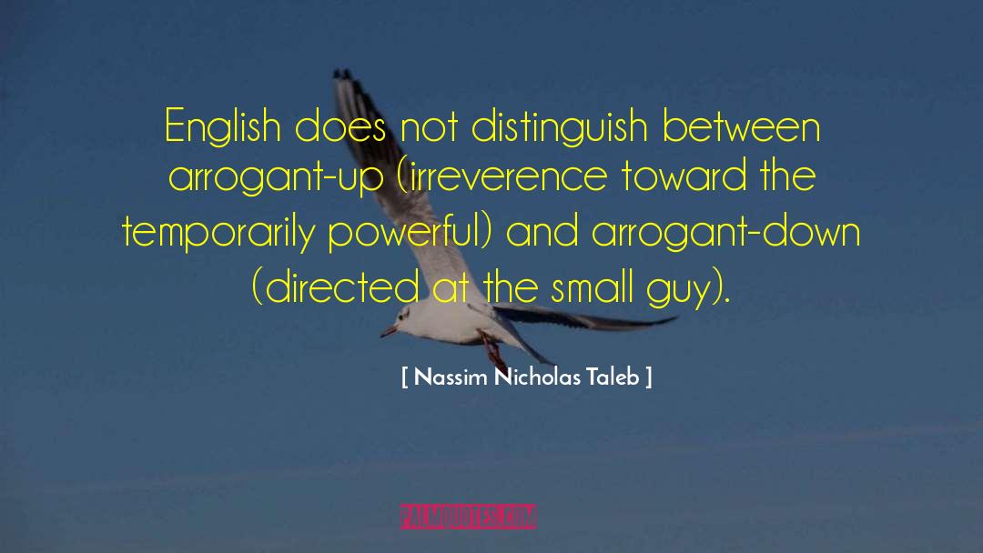 Irreverence quotes by Nassim Nicholas Taleb