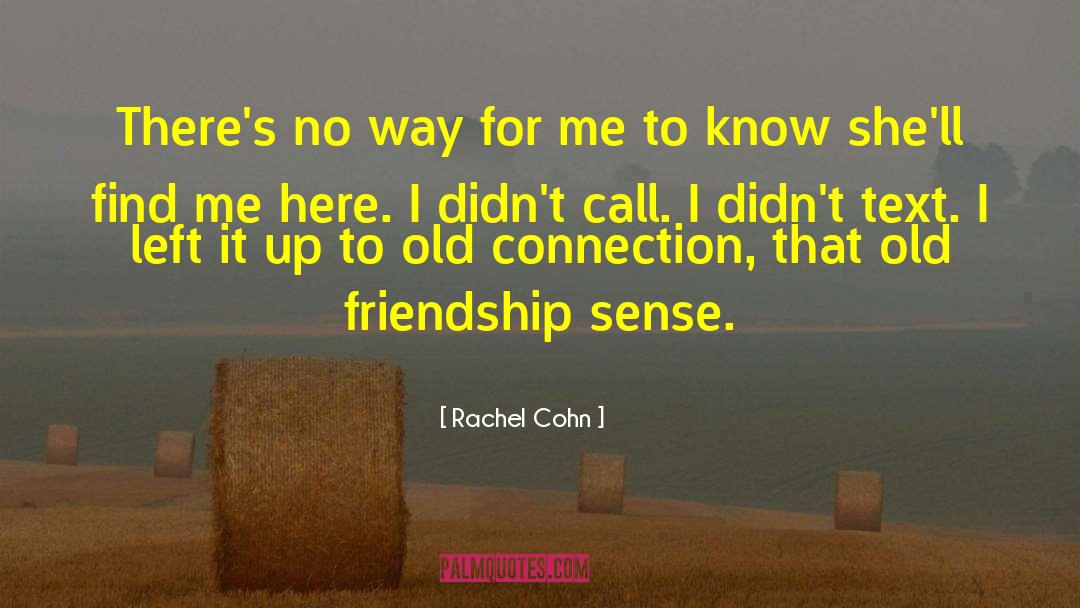 Irreverent Friendship quotes by Rachel Cohn