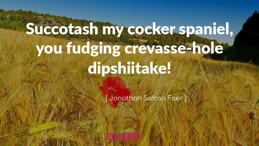 Irreverent Humor quotes by Jonathan Safran Foer