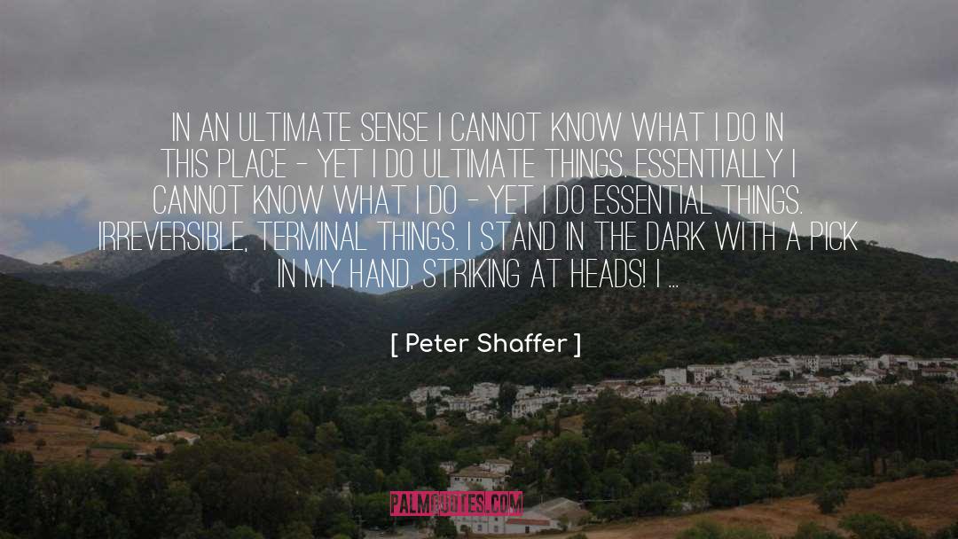 Irreversible quotes by Peter Shaffer