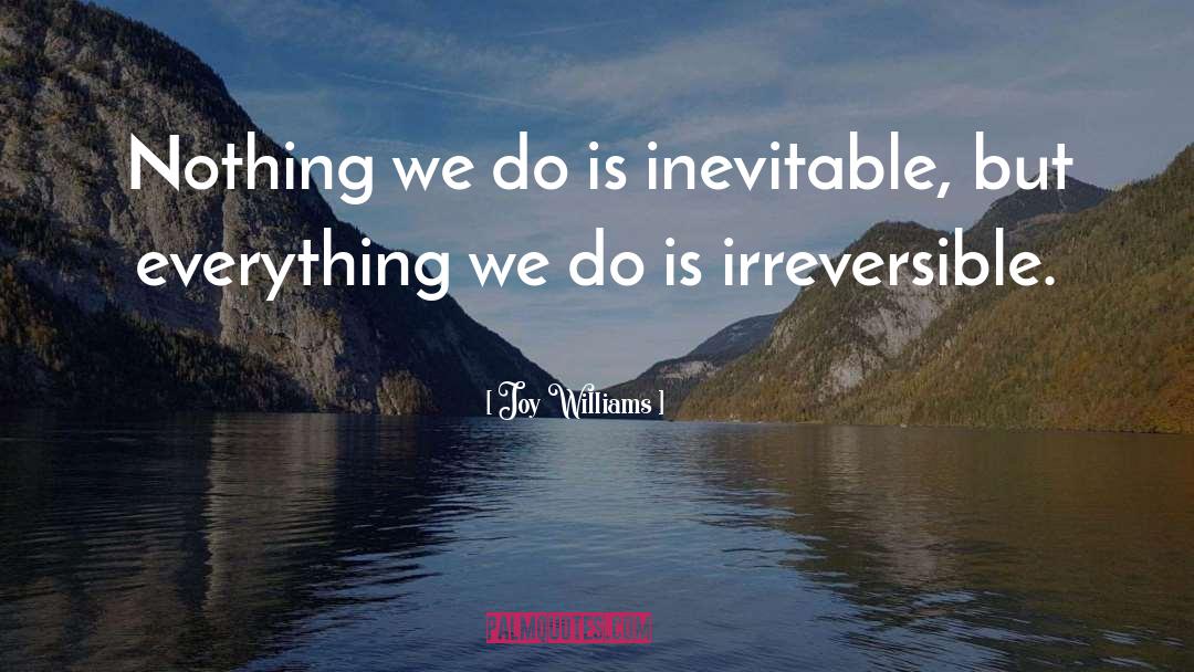 Irreversible quotes by Joy Williams