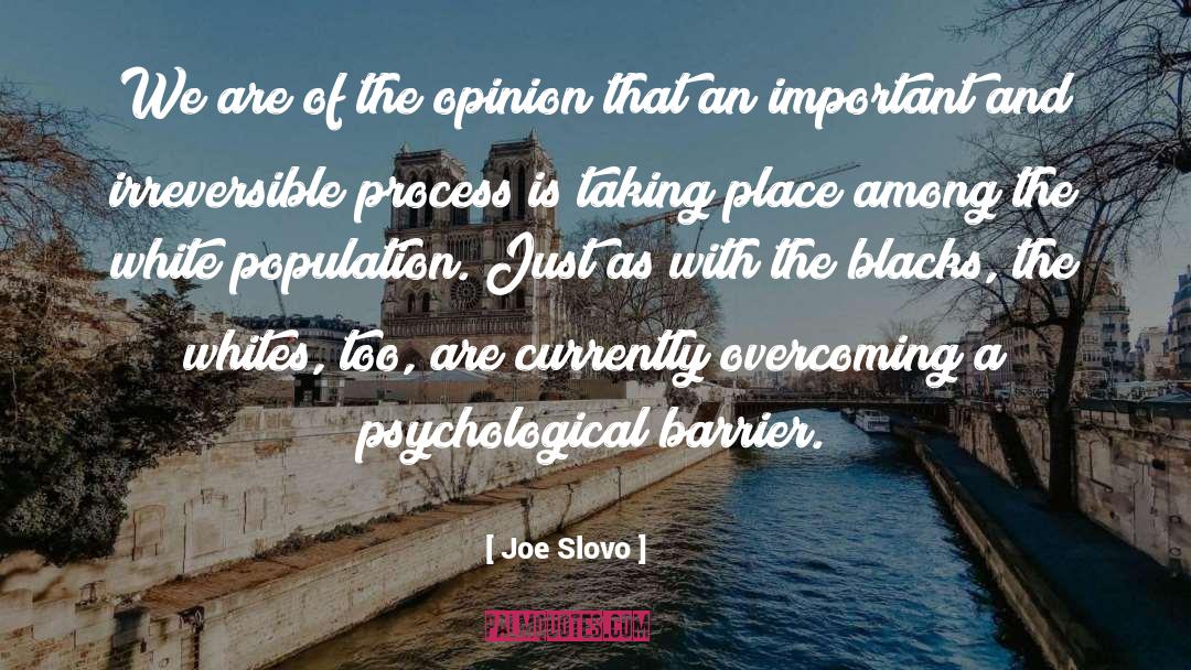 Irreversible quotes by Joe Slovo