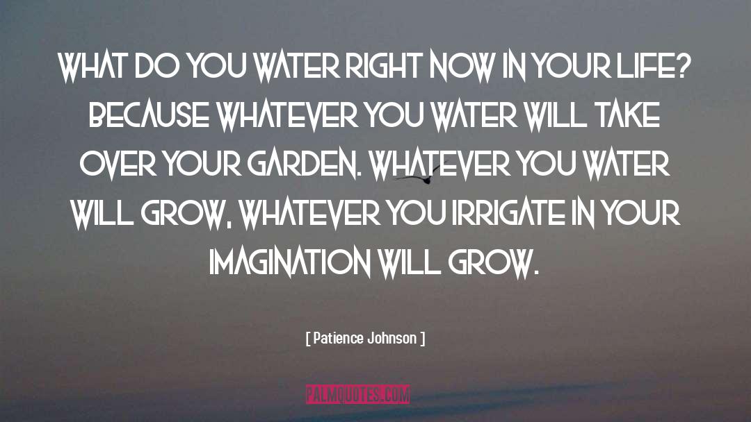 Irrigate quotes by Patience Johnson
