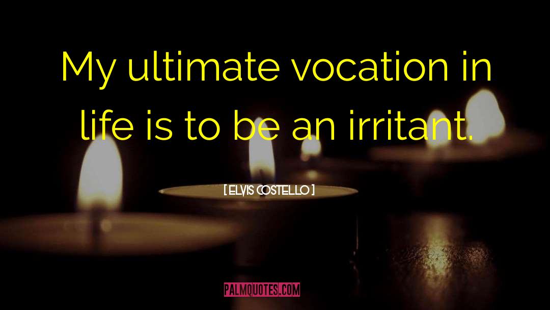 Irritants quotes by Elvis Costello