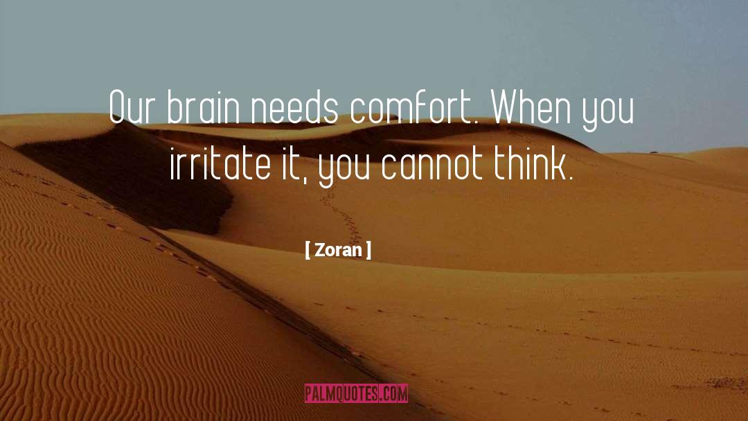 Irritate quotes by Zoran