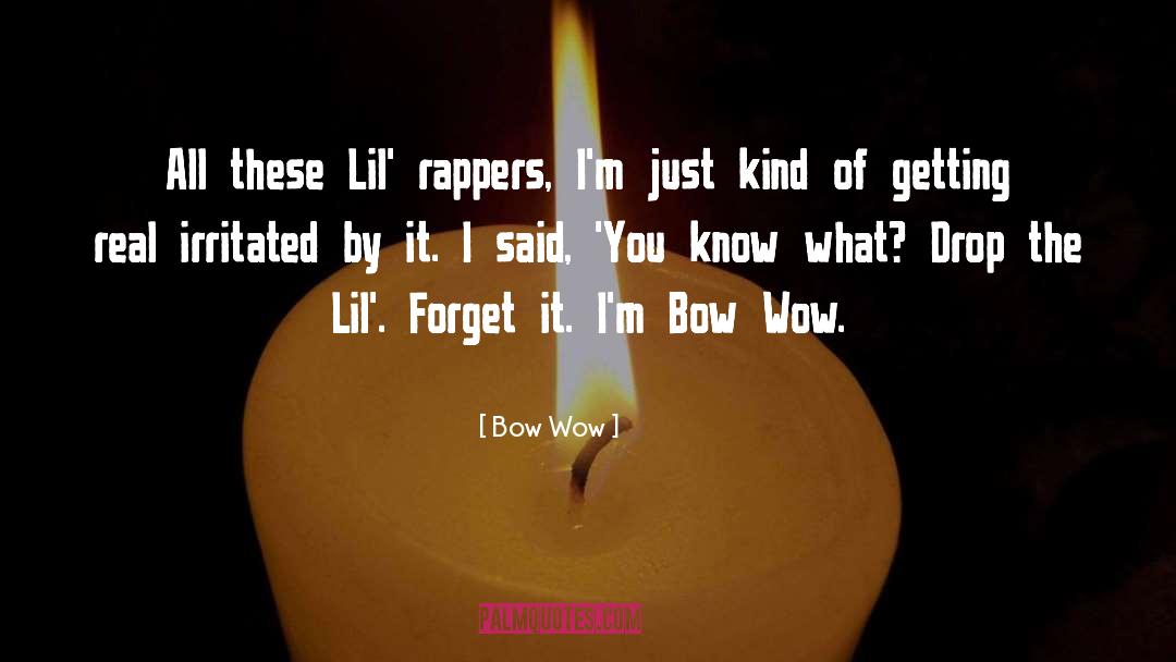 Irritated quotes by Bow Wow