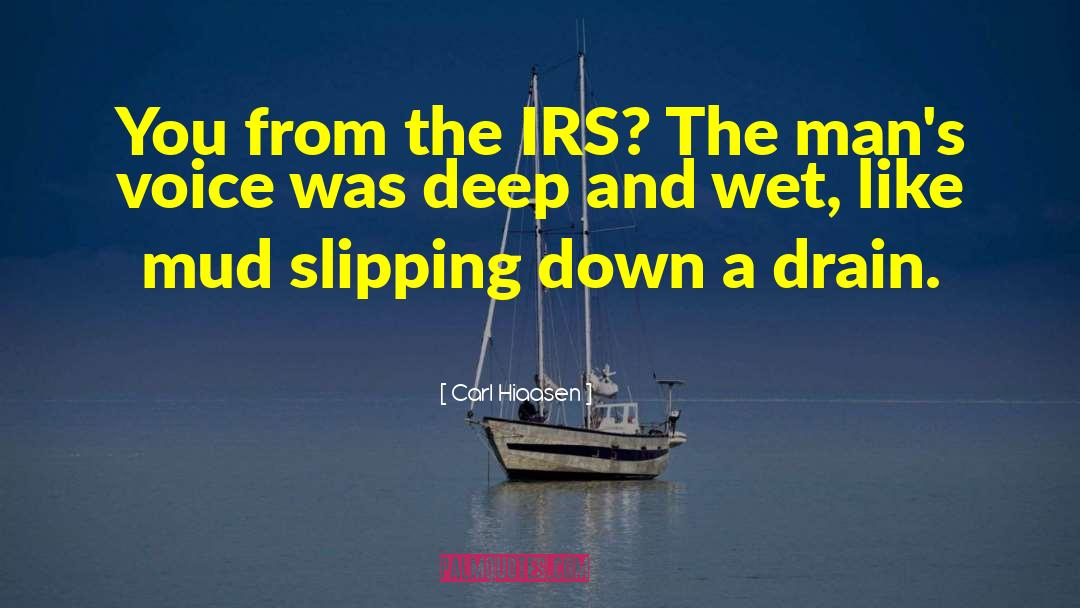 Irs quotes by Carl Hiaasen