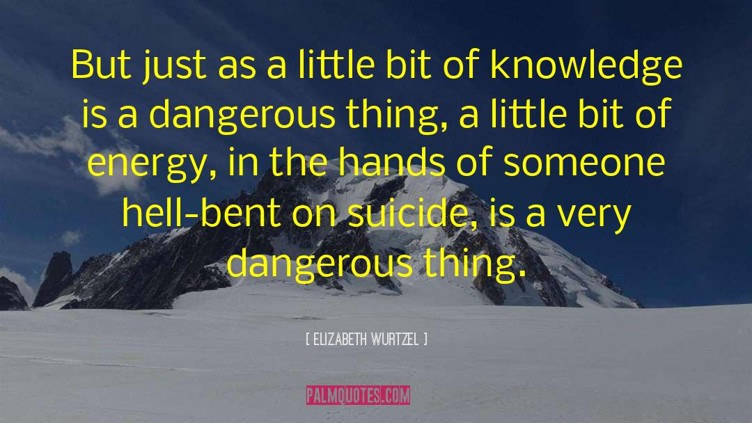 Is Dangerous quotes by Elizabeth Wurtzel