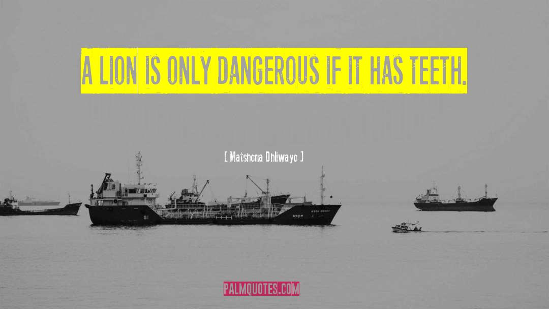 Is Dangerous quotes by Matshona Dhliwayo