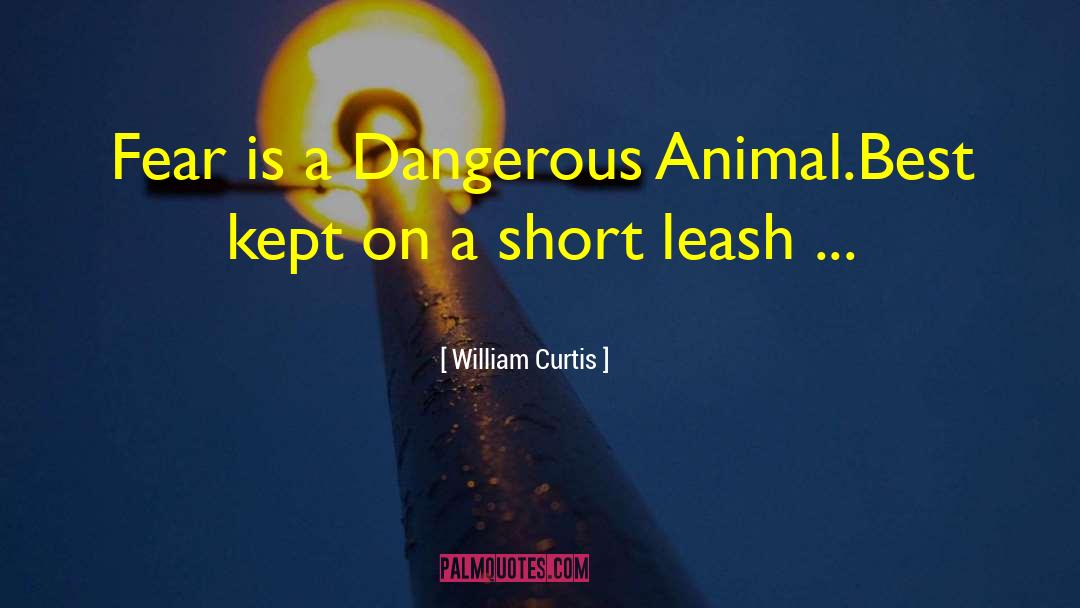 Is Dangerous quotes by William Curtis
