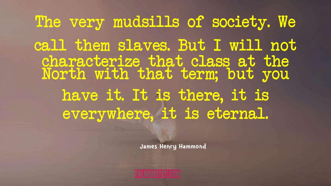 Is Everywhere quotes by James Henry Hammond