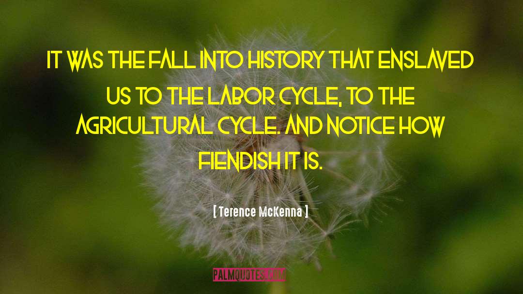 Is Fall quotes by Terence McKenna