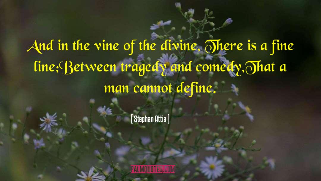 Is In Divine Order quotes by Stephan Attia