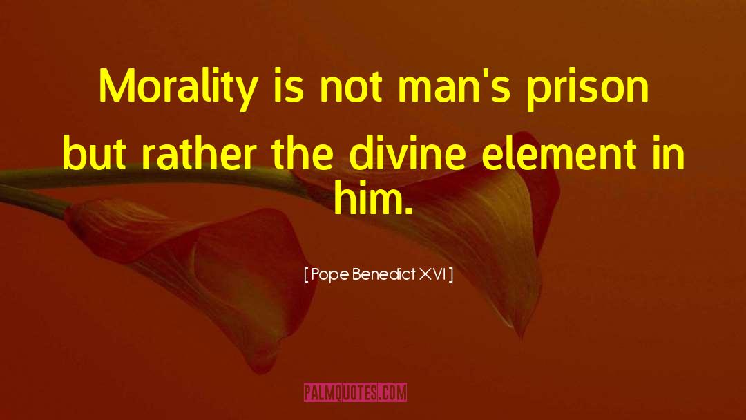 Is In Divine Order quotes by Pope Benedict XVI