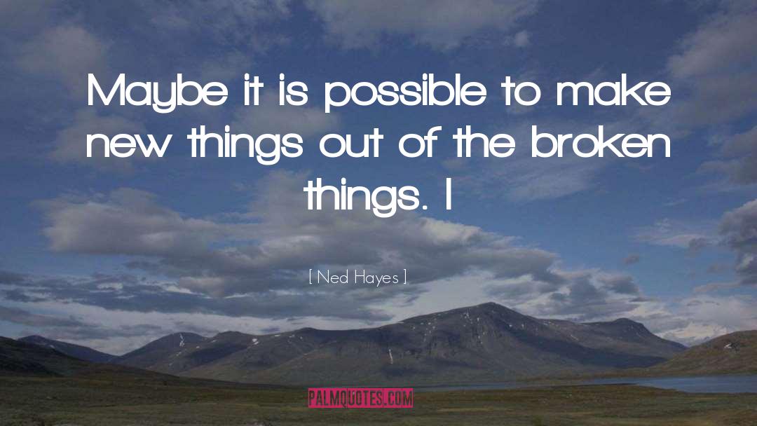 Is Possible quotes by Ned Hayes