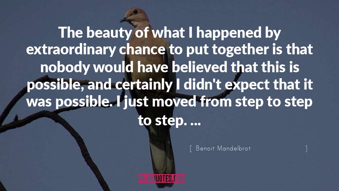 Is Possible quotes by Benoit Mandelbrot