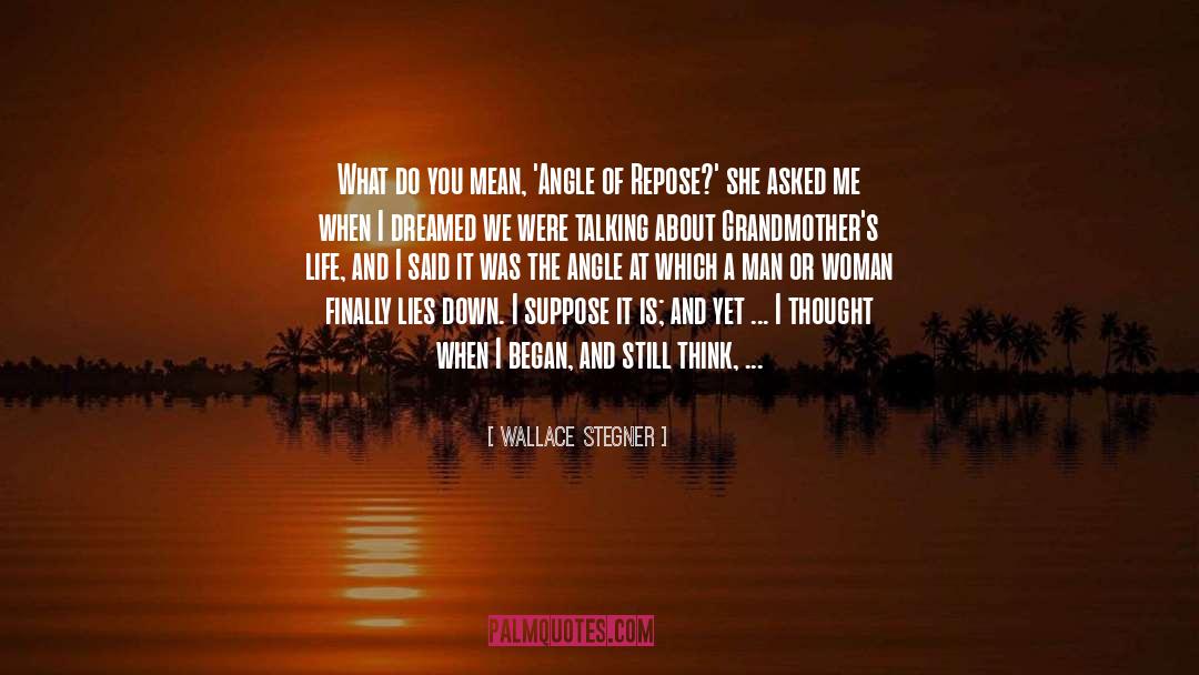 Is There A Point To Life quotes by Wallace Stegner