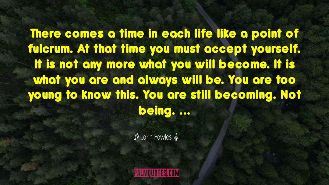 Is There A Point To Life quotes by John Fowles