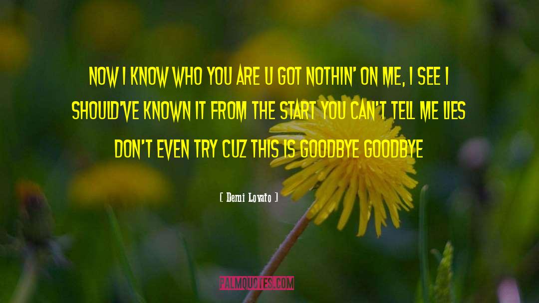 Is This Goodbye Charlie Brown quotes by Demi Lovato