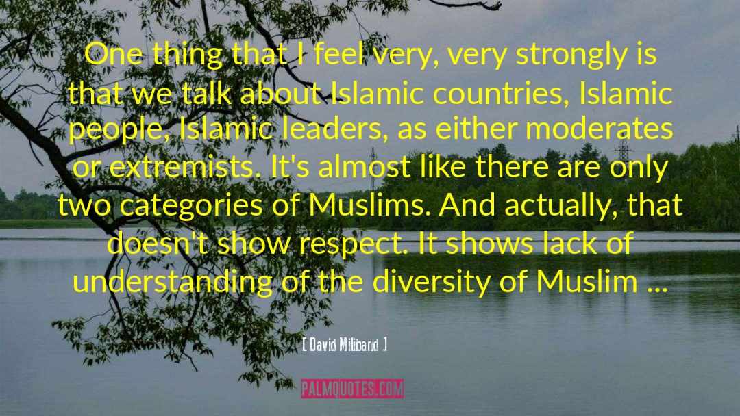 Islamic Lie quotes by David Miliband