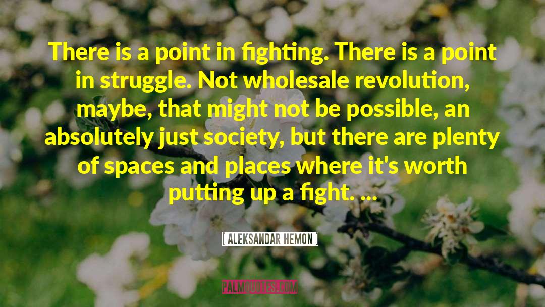 Islamic Revolution quotes by Aleksandar Hemon