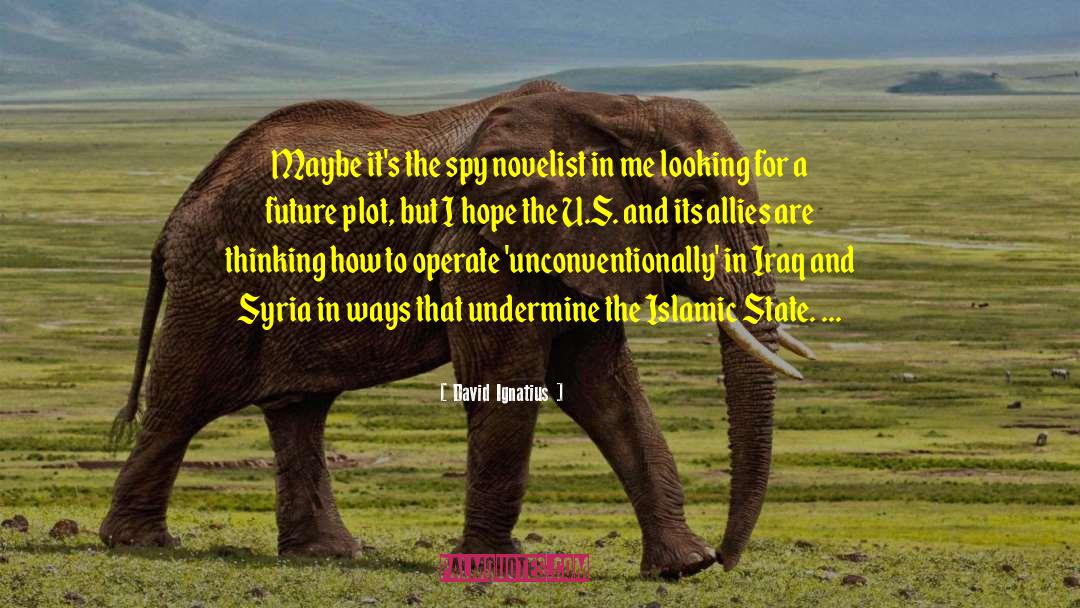 Islamic State quotes by David Ignatius