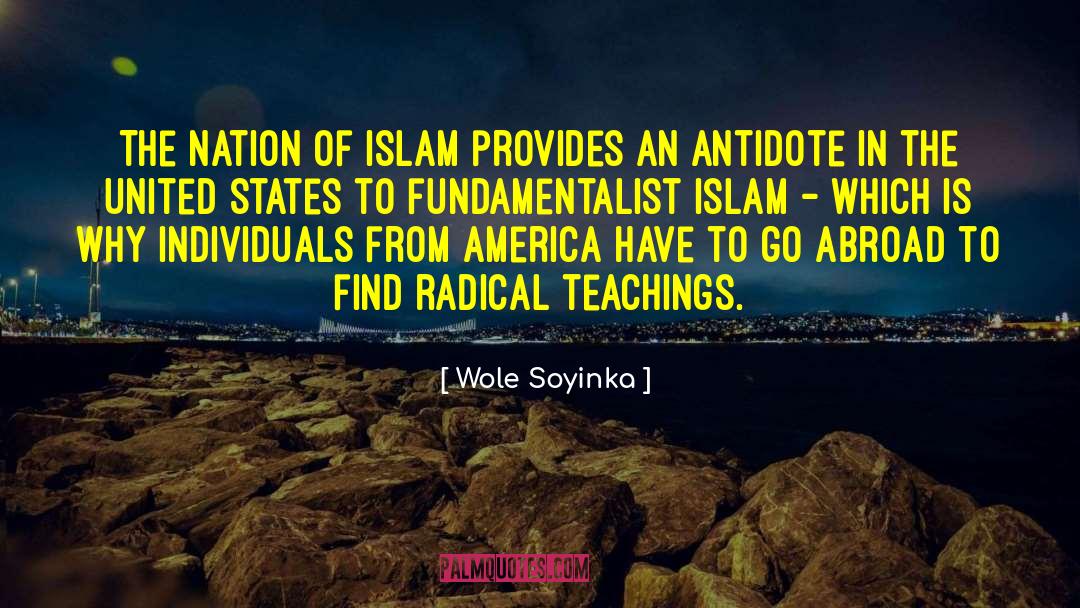 Islamic Teachings An Overview quotes by Wole Soyinka