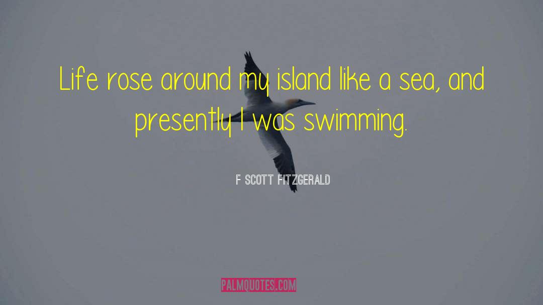 Island Flirtations quotes by F Scott Fitzgerald